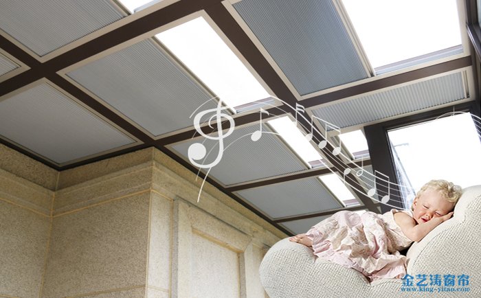 如何區分各種電動遮陽天棚簾? 金藝濤窗簾